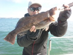 MATSUSHIMA SEANET 釣果