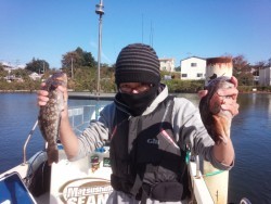 MATSUSHIMA SEANET 釣果