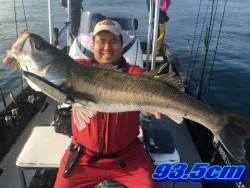 オーシャンマスター 釣果