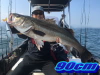 オーシャンマスター 釣果