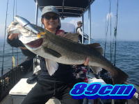 オーシャンマスター 釣果