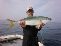 MATSUSHIMA SEANET 釣果