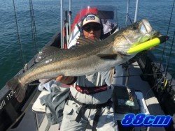 オーシャンマスター 釣果