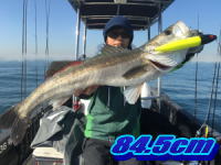 オーシャンマスター 釣果