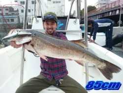 オーシャンマスター 釣果