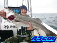 オーシャンマスター 釣果