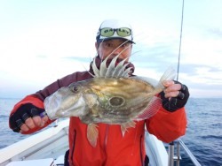 MATSUSHIMA SEANET 釣果