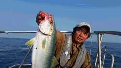 つれ鷹丸 釣果