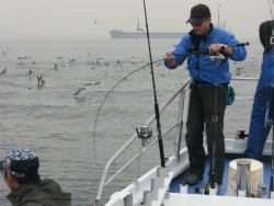 ＢＩＧ－ＯＮＥ 釣果