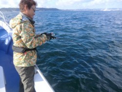 ＢＩＧ－ＯＮＥ 釣果