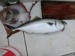 イーグルⅡ世号 釣果