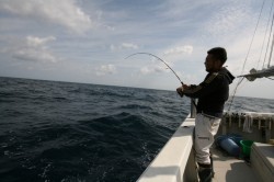 オーシャンズ 釣果