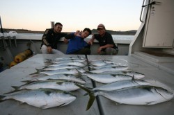 オーシャンズ 釣果