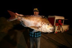 オーシャンズ 釣果