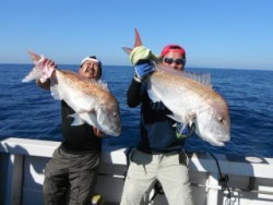 なぎさ丸 釣果