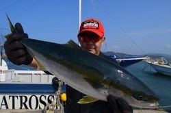 ALBATROSS 釣果