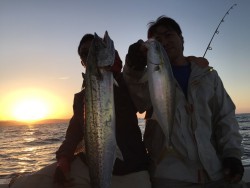 オーシャンキッズ 釣果