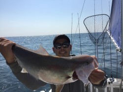 オーシャンキッズ 釣果