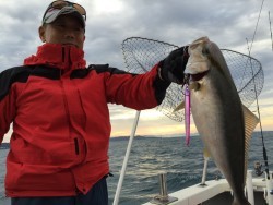 オーシャンキッズ 釣果