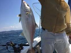 オーシャンキッズ 釣果