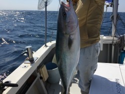 オーシャンキッズ 釣果