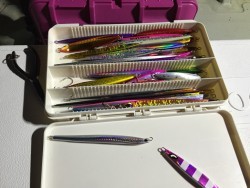 オーシャンキッズ 釣果