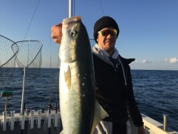 オーシャンキッズ 釣果