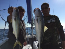 オーシャンキッズ 釣果