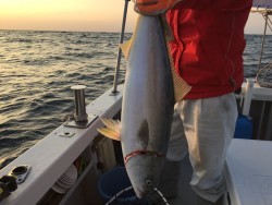 オーシャンキッズ 釣果