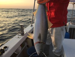 オーシャンキッズ 釣果