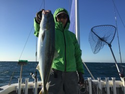 オーシャンキッズ 釣果