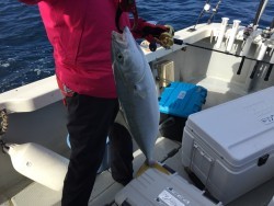 オーシャンキッズ 釣果