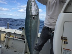 オーシャンキッズ 釣果