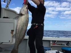 オーシャンキッズ 釣果