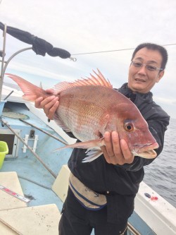 リトルワン 釣果