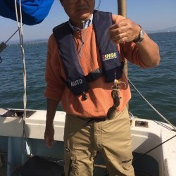 リトルワン 釣果