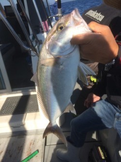 Aquanaut（アクアノート） 釣果