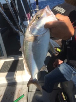 Aquanaut（アクアノート） 釣果