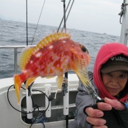 Aquanaut（アクアノート） 釣果