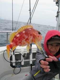 Aquanaut（アクアノート） 釣果