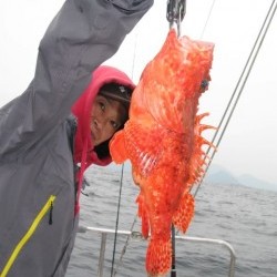 Aquanaut（アクアノート） 釣果