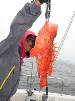 Aquanaut（アクアノート） 釣果