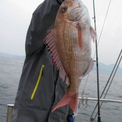 Aquanaut（アクアノート） 釣果