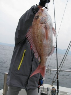 Aquanaut（アクアノート） 釣果