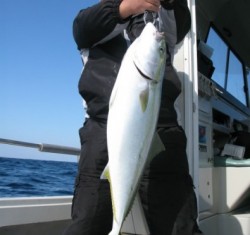 Aquanaut（アクアノート） 釣果