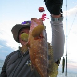 Aquanaut（アクアノート） 釣果