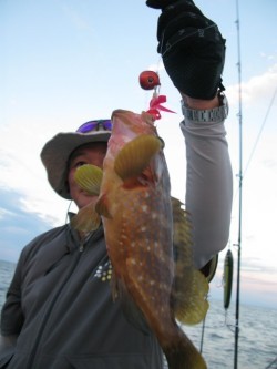 Aquanaut（アクアノート） 釣果