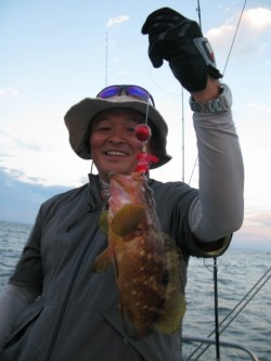 Aquanaut（アクアノート） 釣果