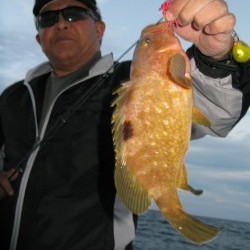 Aquanaut（アクアノート） 釣果