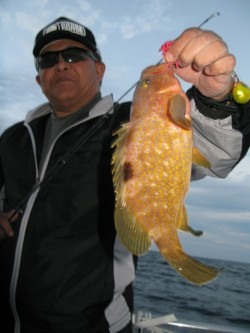 Aquanaut（アクアノート） 釣果